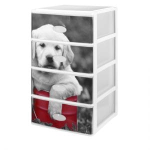 CAO PRATELEIRA EMPELHAVEL CONJ. 4