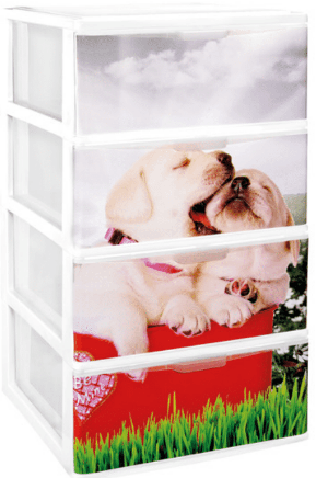 CAO PRATELEIRA EMPILHAVEL CONJ. 4